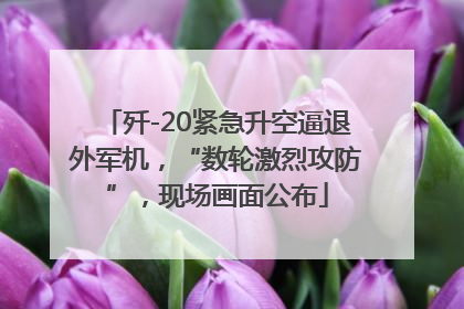 歼-20紧急升空逼退外军机，“数轮激烈攻防”，现场画面公布