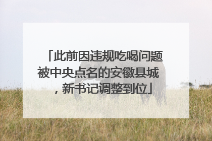 此前因违规吃喝问题被中央点名的安徽县城，新书记调整到位