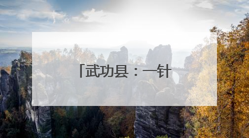 武功县：一针一线“绣”出就业新图景