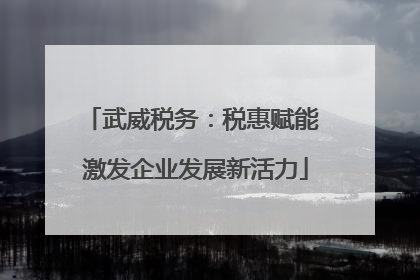 武威税务：税惠赋能 激发企业发展新活力