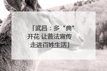 武昌：多“典”开花 让普法宣传走进百姓生活