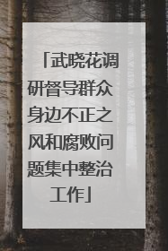 武晓花调研督导群众身边不正之风和腐败问题集中整治工作