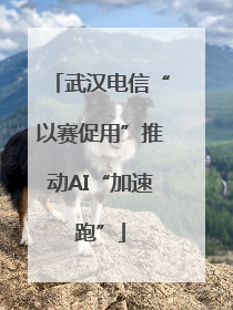 武汉电信“以赛促用”推动AI“加速跑”