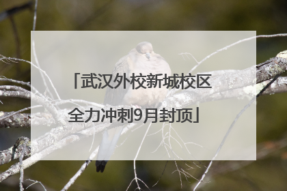 武汉外校新城校区全力冲刺9月封顶