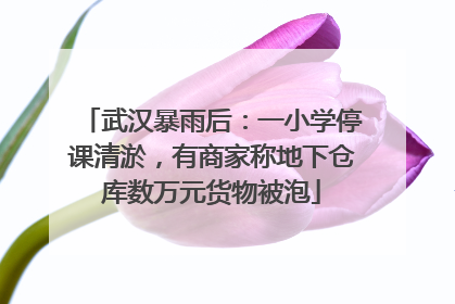 武汉暴雨后：一小学停课清淤，有商家称地下仓库数万元货物被泡