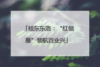 桂东东洛：“红领雁”领航百业兴