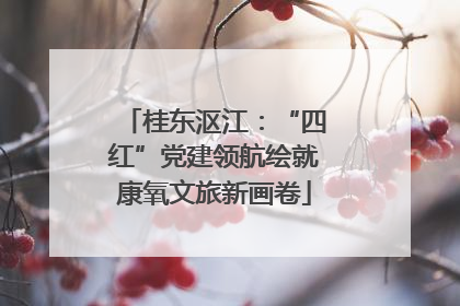 桂东沤江：“四红”党建领航绘就康氧文旅新画卷