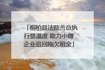 桐柏县法院善意执行显温度 助力小微企业追回拖欠租金