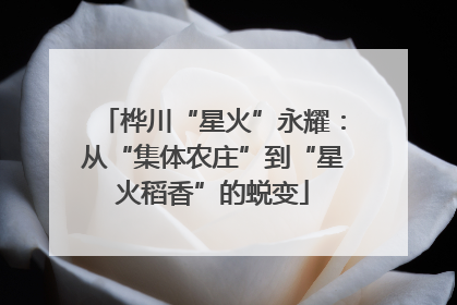 桦川“星火”永耀：从“集体农庄”到“星火稻香”的蜕变