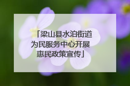 梁山县水泊街道为民服务中心开展惠民政策宣传
