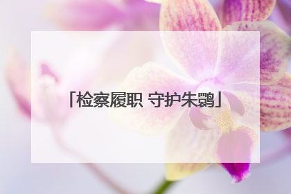 检察履职 守护朱鹮