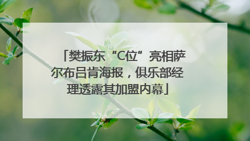 樊振东“C位”亮相萨尔布吕肯海报，俱乐部经理透露其加盟内幕