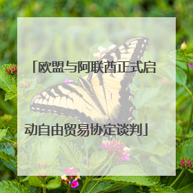 欧盟与阿联酋正式启动自由贸易协定谈判
