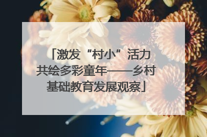 激发“村小”活力 共绘多彩童年——乡村基础教育发展观察