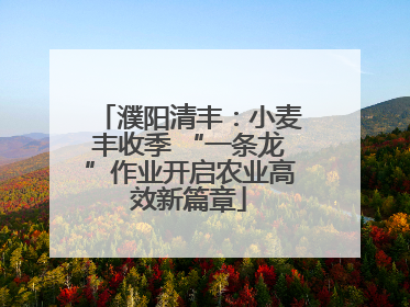 濮阳清丰：小麦丰收季 “一条龙”作业开启农业高效新篇章