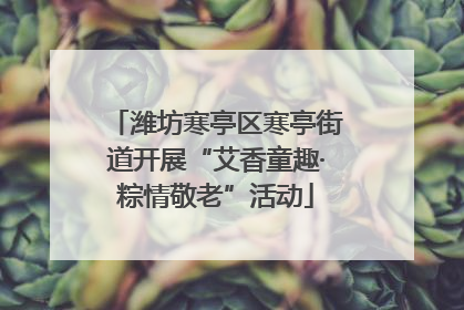 潍坊寒亭区寒亭街道开展“艾香童趣·粽情敬老”活动