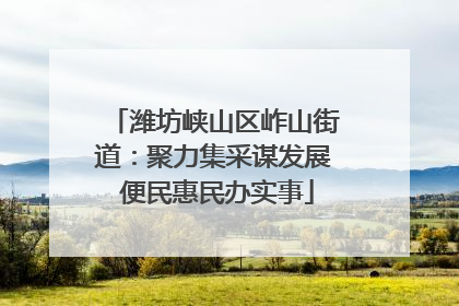 潍坊峡山区岞山街道：聚力集采谋发展 便民惠民办实事
