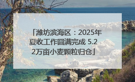 潍坊滨海区：2025年夏收工作圆满完成 5.22万亩小麦颗粒归仓