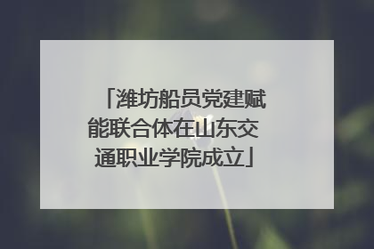 潍坊船员党建赋能联合体在山东交通职业学院成立