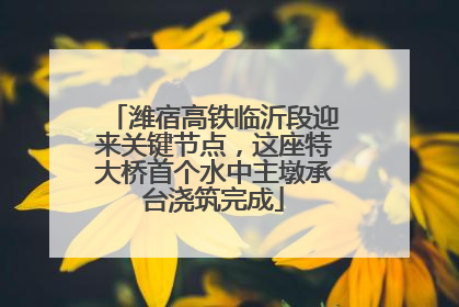 潍宿高铁临沂段迎来关键节点，这座特大桥首个水中主墩承台浇筑完成