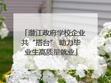 潜江政府学校企业共“搭台” 助力毕业生高质量就业