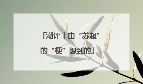 潮评丨由“苏超”的“梗”想到的