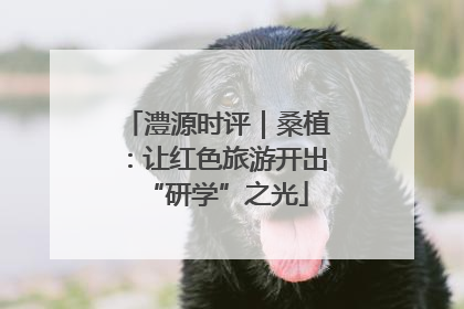澧源时评｜桑植：让红色旅游开出“研学”之光