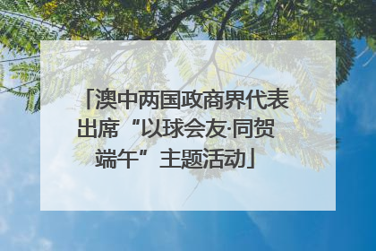 澳中两国政商界代表出席“以球会友·同贺端午”主题活动