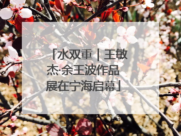 水双重｜王敏杰·余王波作品展在宁海启幕