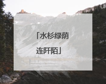 水杉绿荫连阡陌