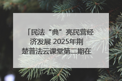 民法“典”亮民营经济发展 2025年荆楚普法云课堂第二期在武汉客厅开讲