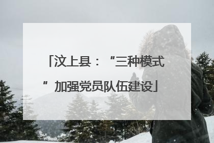 汶上县：“三种模式”加强党员队伍建设