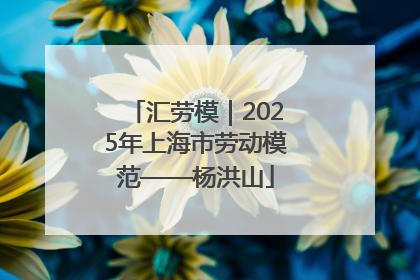 汇劳模｜2025年上海市劳动模范——杨洪山