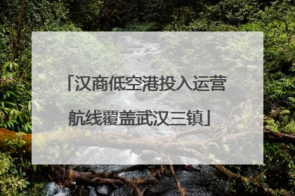 汉商低空港投入运营 航线覆盖武汉三镇