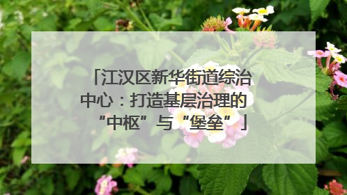 江汉区新华街道综治中心：打造基层治理的“中枢”与“堡垒”