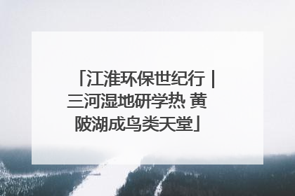 江淮环保世纪行｜三河湿地研学热 黄陂湖成鸟类天堂