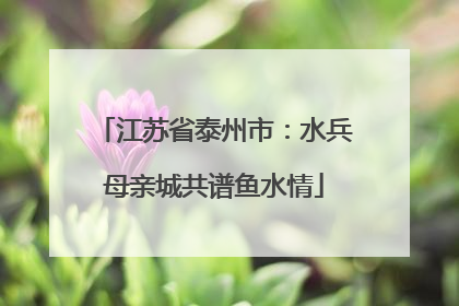 江苏省泰州市：水兵母亲城共谱鱼水情
