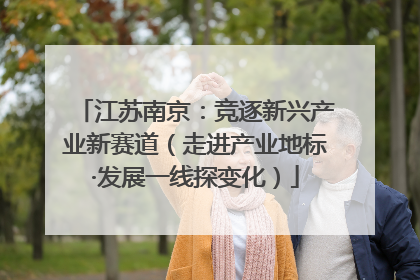 江苏南京：竞逐新兴产业新赛道（走进产业地标·发展一线探变化）