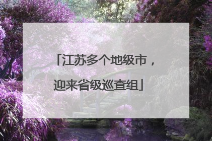 江苏多个地级市，迎来省级巡查组