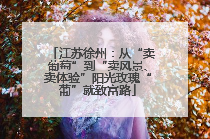 江苏徐州：从“卖葡萄”到“卖风景、卖体验”阳光玫瑰“葡”就致富路