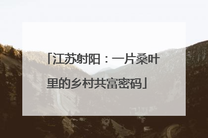 江苏射阳：一片桑叶里的乡村共富密码