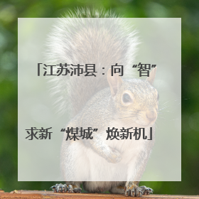 江苏沛县：向“智”求新“煤城”焕新机