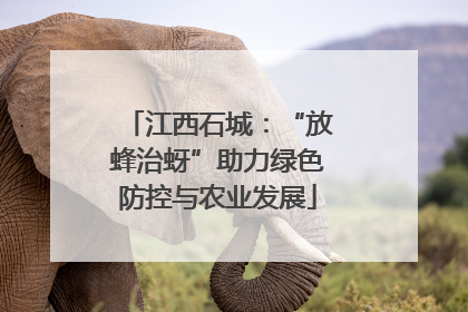 江西石城：“放蜂治蚜”助力绿色防控与农业发展