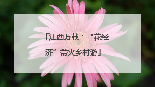 江西万载：“花经济”带火乡村游