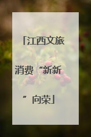 江西文旅消费“新新”向荣