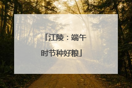 江陵：端午时节种好粮