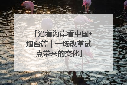 沿着海岸看中国•烟台篇｜一场改革试点带来的变化