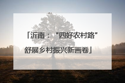 沂南：“四好农村路”舒展乡村振兴新画卷