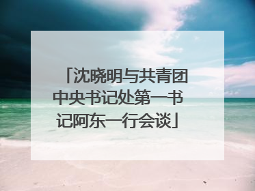 沈晓明与共青团中央书记处第一书记阿东一行会谈