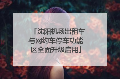 沈阳机场出租车与网约车停车功能区全面升级启用